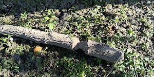 Gilmore Metropark - photo 48