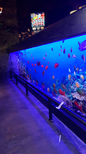 Sign Shop «FASTSIGNS», reviews and photos, 7080 W State Rd 84 Ste 7, Davie, FL 33317, USA