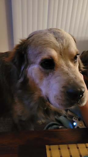 Pet Supply Store «Three Dog Bakery Inc», reviews and photos, 13904 Town Center Blvd # 200, Noblesville, IN 46060, USA