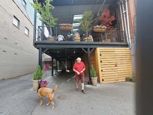 Craft Store «Michaels», reviews and photos, 305 Town Center Loop, Waynesville, NC 28786, USA