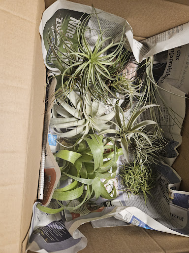 Mysimpleplants.de - Zierpflanzen und Heimtierbedarf Prebeck unter Schwarzenfeld, 