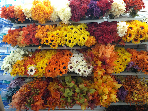 Dollar Store «Dollar Tree», reviews and photos, 700 Central Ave, Pawtucket, RI 02861, USA