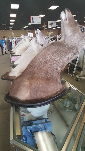 Thrift Store «Salvation Army Thrift Store», reviews and photos, 5042 S Padre Island Dr, Corpus Christi, TX 78411, USA