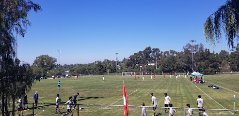 World Cup Soccer Field