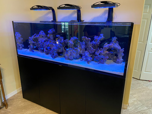 Aquarium «Aquatic Design & Development Group, LLC», reviews and photos, 1725 SW 17th St, Ocala, FL 34471, USA