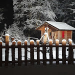 Photo n°4 de l'avis de Massimo.3 fait le 24/12/2023 à 12:31 sur le  Ristoro Lo Spigolino à Fanano