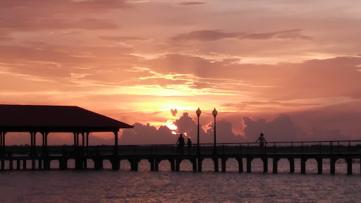 Performing Arts Theater «Highlands Little Theatre», reviews and photos, 356 W Center Ave, Sebring, FL 33870, USA