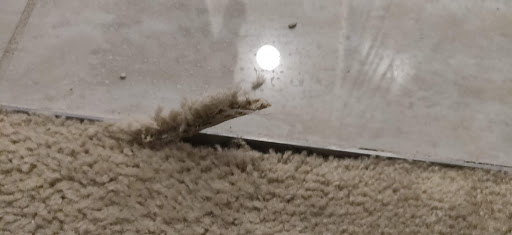 Flooring Store «Flooring America», reviews and photos, 4100 S US Hwy 17 92, Casselberry, FL 32707, USA