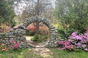 Kinney Azalea Gardens image