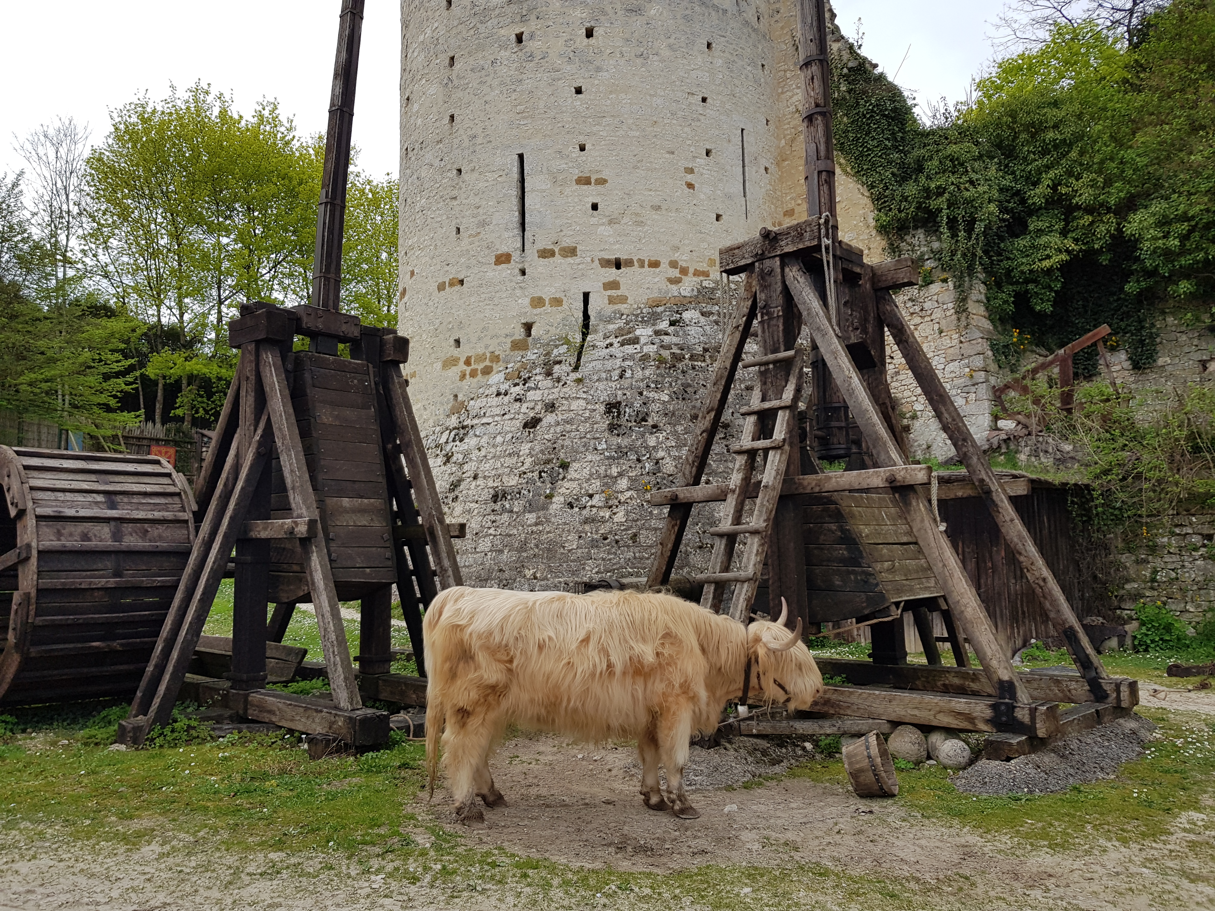 Photo n° 7 de l'avis de Edouard. fait le 18/04/2018 à 20:05