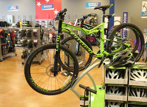 Bicycle Store «Bike America», reviews and photos, 700 N University Dr, Hollywood, FL 33024, USA