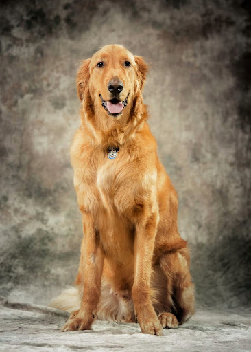 Pet Groomer «The Pet Station Salon and Boutique», reviews and photos, 9410 Norton Commons Blvd, Prospect, KY 40059, USA