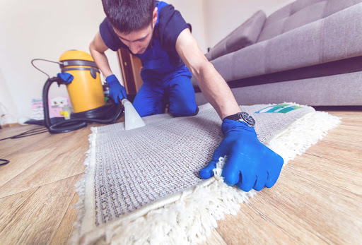 A1 Professional Carpet Cleaning