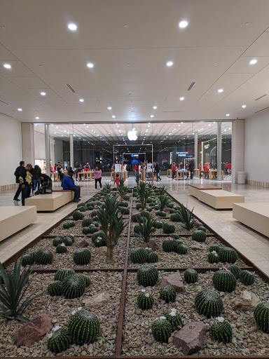 Computer Store «Apple Biltmore», reviews and photos, 2502 E Camelback Rd, Phoenix, AZ 85016, USA