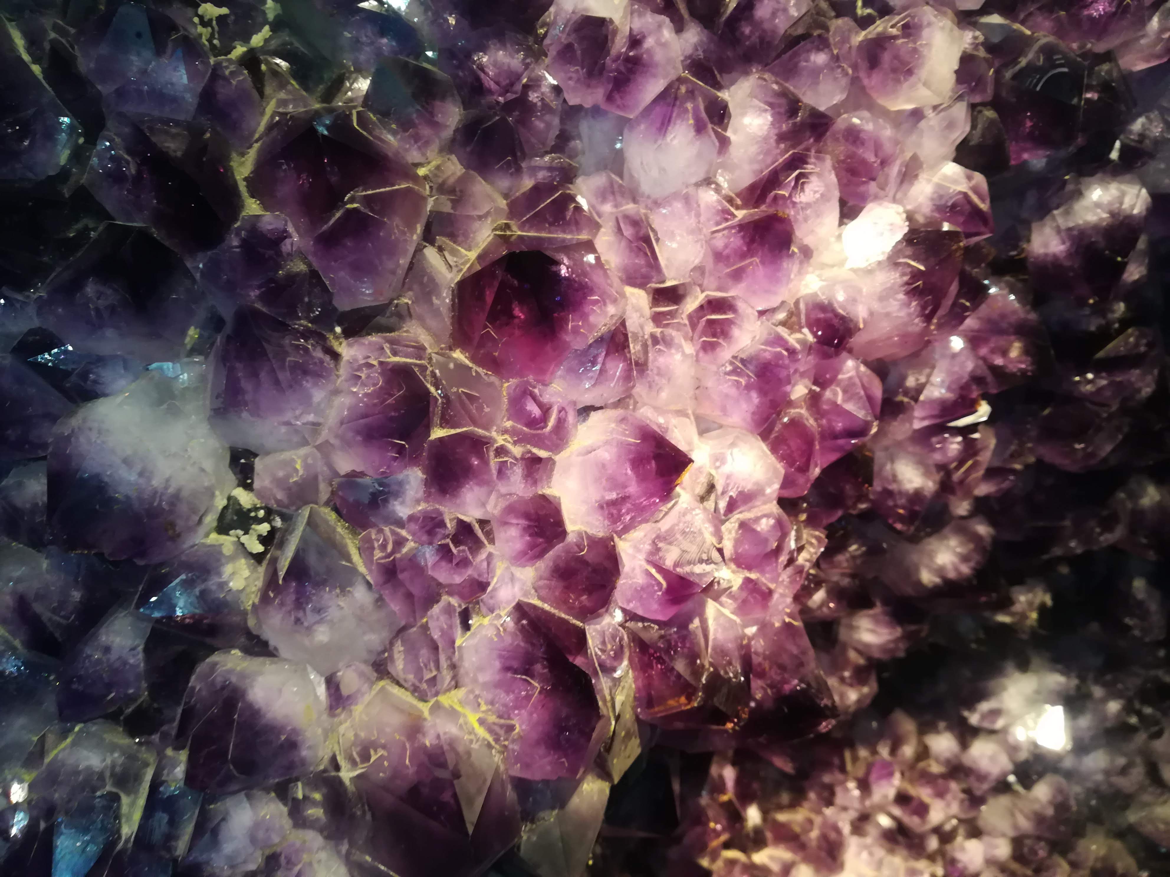 Photo n° 21 de l'avis de missbigsmile. fait le 03/07/2018 à 05:14