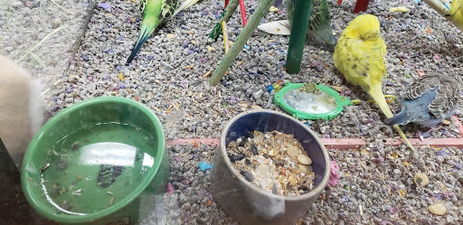 Pet Supply Store «Pet Valu», reviews and photos, 7750 Brandt Pike, Huber Heights, OH 45424, USA