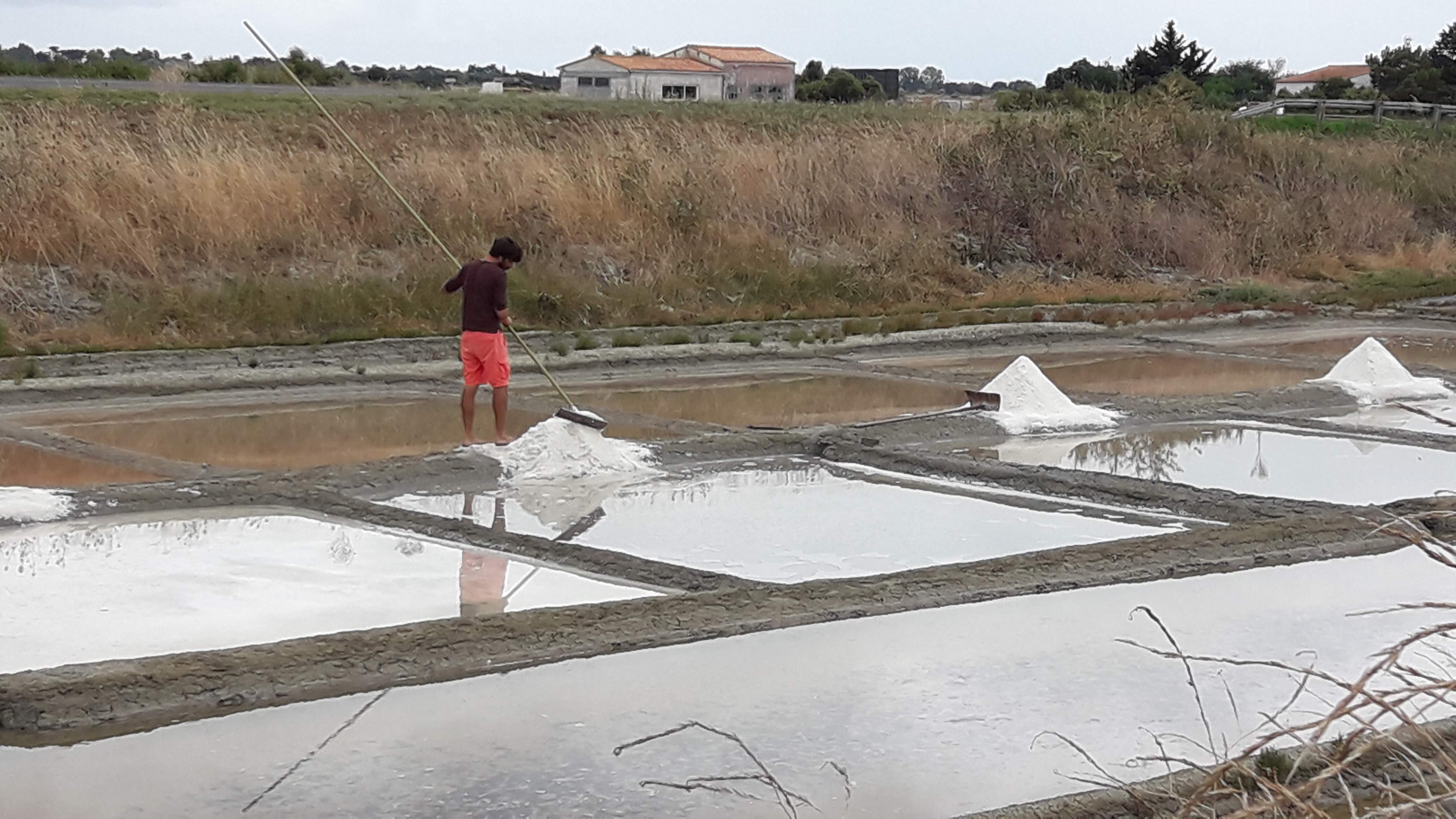 Photo n° 5 de l'avis de Helene.. fait le 01/08/2018 à 18:00