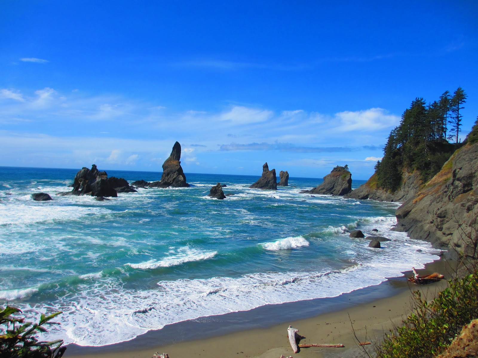 Foto de Shi Shi Beach con muy limpio nivel de limpieza