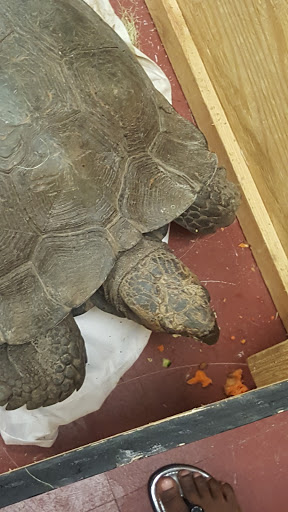 Natural History Museum «Natural History Society of Maryland», reviews and photos, 6908 Belair Rd, Baltimore, MD 21206, USA