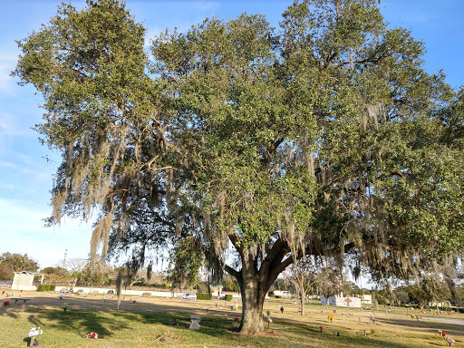 Cemetery «Glen Haven Memorial Park», reviews and photos, 2300 Temple Dr, Winter Park, FL 32789, USA