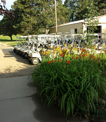 Golf Course «Pipestone Creek Golf Course», reviews and photos, 6768 Naomi Rd, Eau Claire, MI 49111, USA