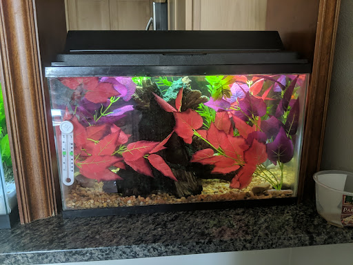 Pet Supply Store «Wet Spot Tropical Fish», reviews and photos, 4310 NE Hancock St, Portland, OR 97213, USA