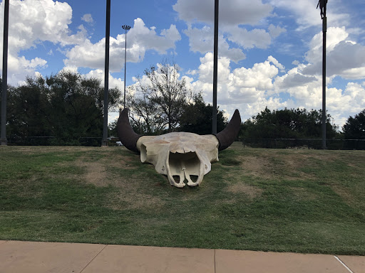 Giant bull skull