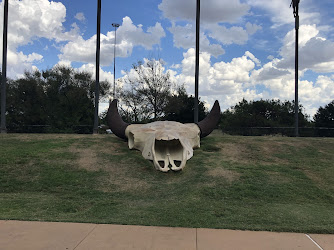 Giant bull skull