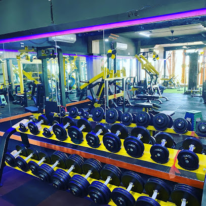 MAGNETO FITNESS HUB