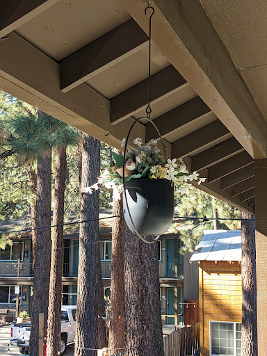 Alder Inn image