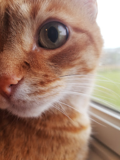 10328 Owen Brown Rd, Columbia, MD 21044, USA