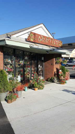 Carrolls Florist of Beverly, 385 Cabot St, Beverly, MA 01915, USA, 