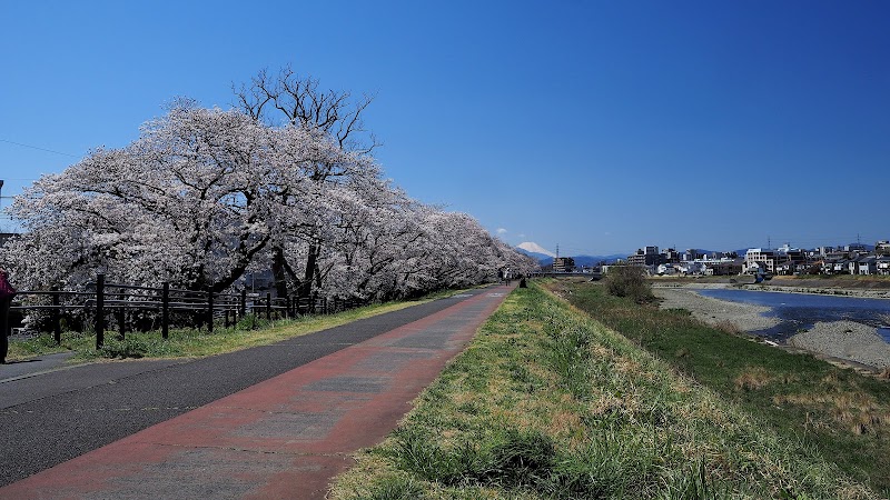 向川原堤緑道