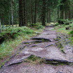 Photo n°5 de l'avis de Sirk.u fait le 20/09/2017 à 15:37 sur le  Gipfelrestaurant Asenturm à Fichtelberg