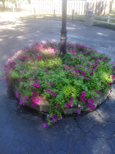 Amusement Park «Adventureland Park», reviews and photos, 3200 Adventureland Dr, Altoona, IA 50009, USA