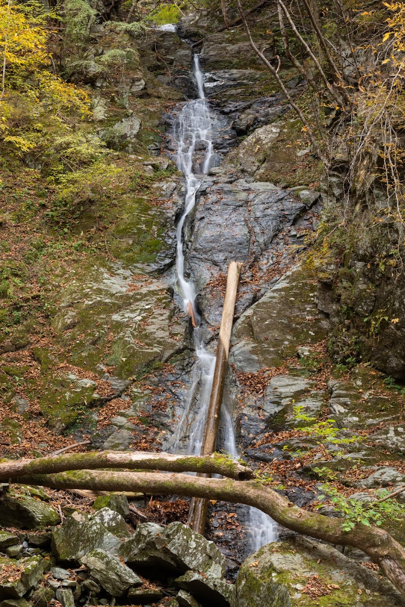 仏前谷の滝