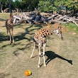 Gulf Coast at Fort Worth Zoo