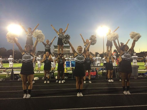 Pet Supply Store «Decadent Dogs», reviews and photos, 206 S River Ave, Holland, MI 49423, USA