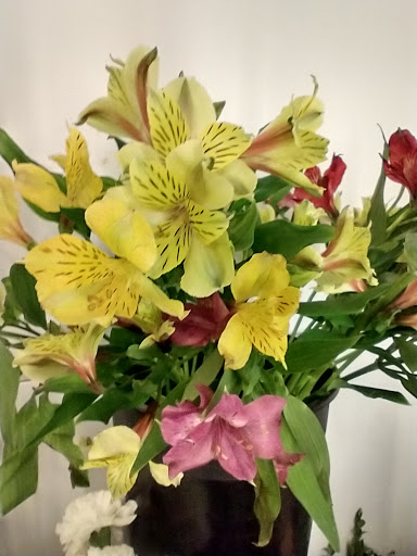 Florist «Grace Harper Florist, Inc.», reviews and photos, 4135 Woodward Ave, Detroit, MI 48201, USA