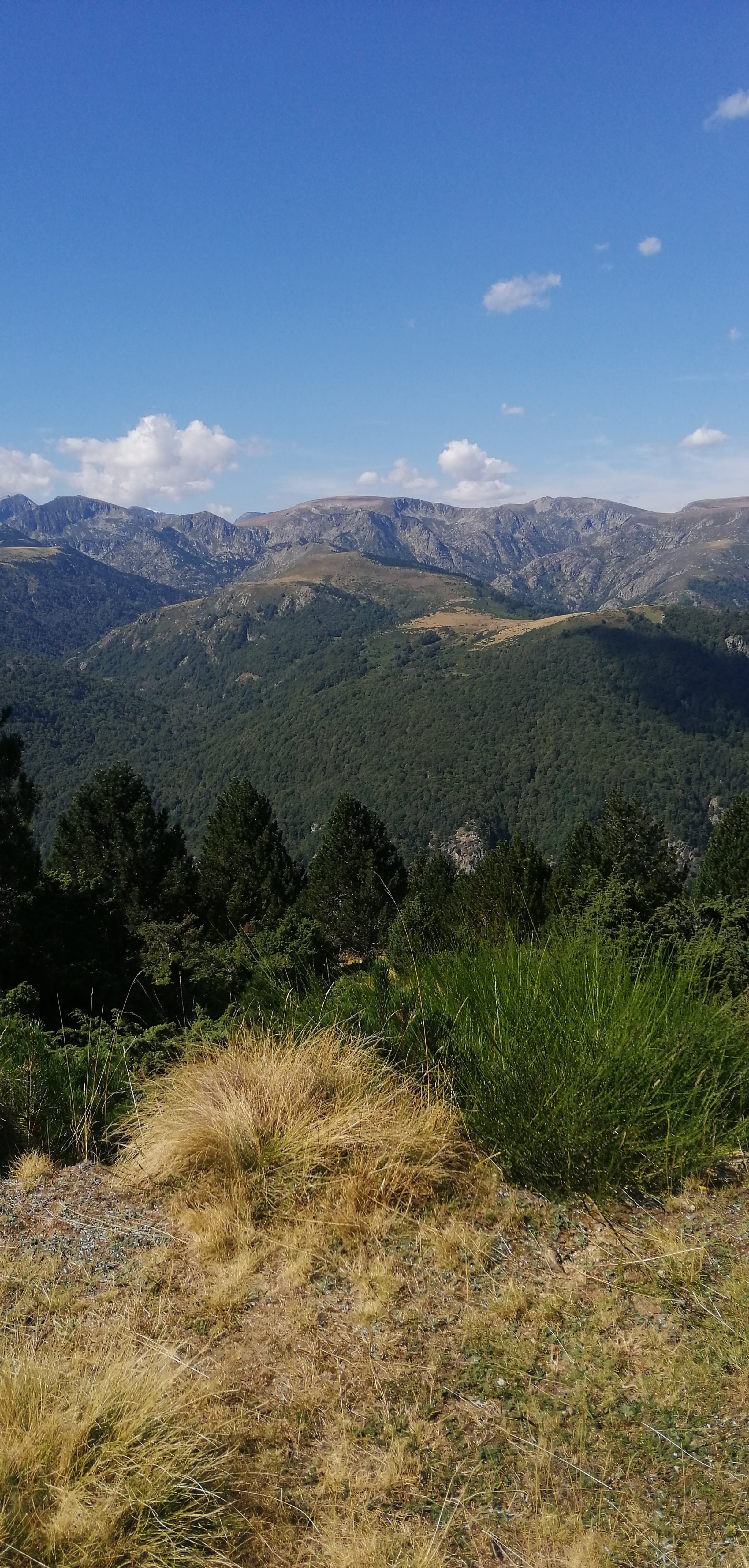 Photo n° 1 de l'avis de cécile.u fait le 12/09/2023 à 04:42