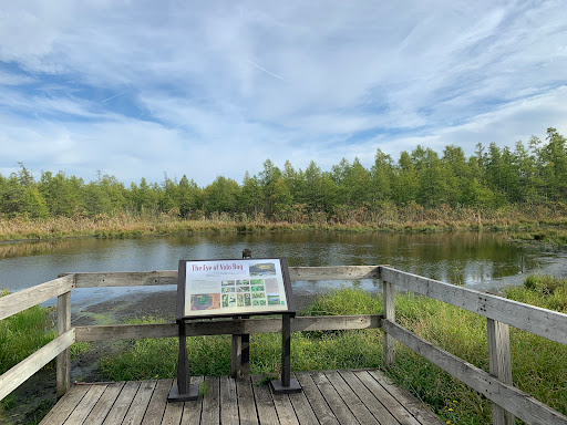 Nature Preserve «Volo Bog», reviews and photos, 28478 W Brandenburg Rd, Ingleside, IL 60041, USA