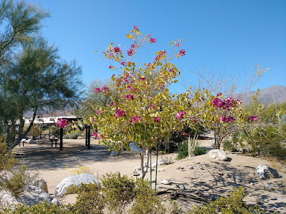 Borrego Springs Desert Garden