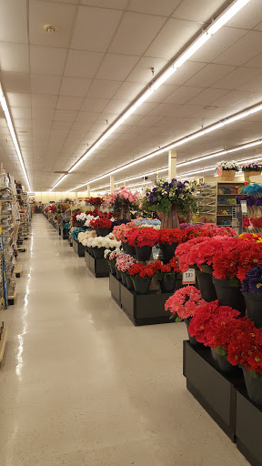 Craft Store «Hobby Lobby», reviews and photos, 830 County Rd 64 #4, Elmira, NY 14903, USA