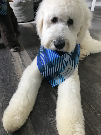 Pet Supply Store «PetSmart», reviews and photos, 1810 Cumming Hwy, Canton, GA 30114, USA