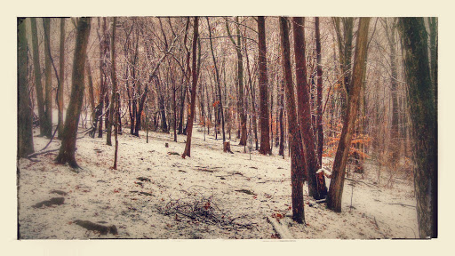 Disc Golf Course «Scarboro Hills Disc Golf Course», reviews and photos, 3130 Sandy Hook Rd, Street, MD 21154, USA