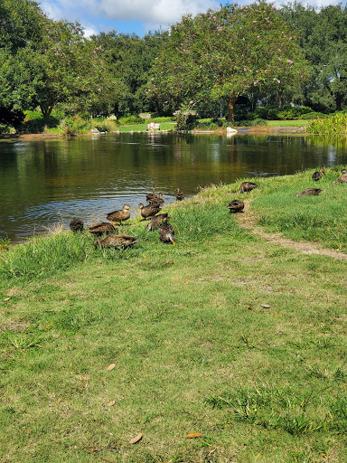 Performing Arts Theater «Savannah Center», reviews and photos, 1575 Buena Vista Blvd, The Villages, FL 32164, USA