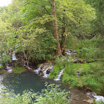 Photo n°16 de l'avis de Michael.i fait le 05/09/2018 à 13:22 sur le  Wimsener Höhle (Tress Gastronomie GmbH & Co. KG) à Hayingen
