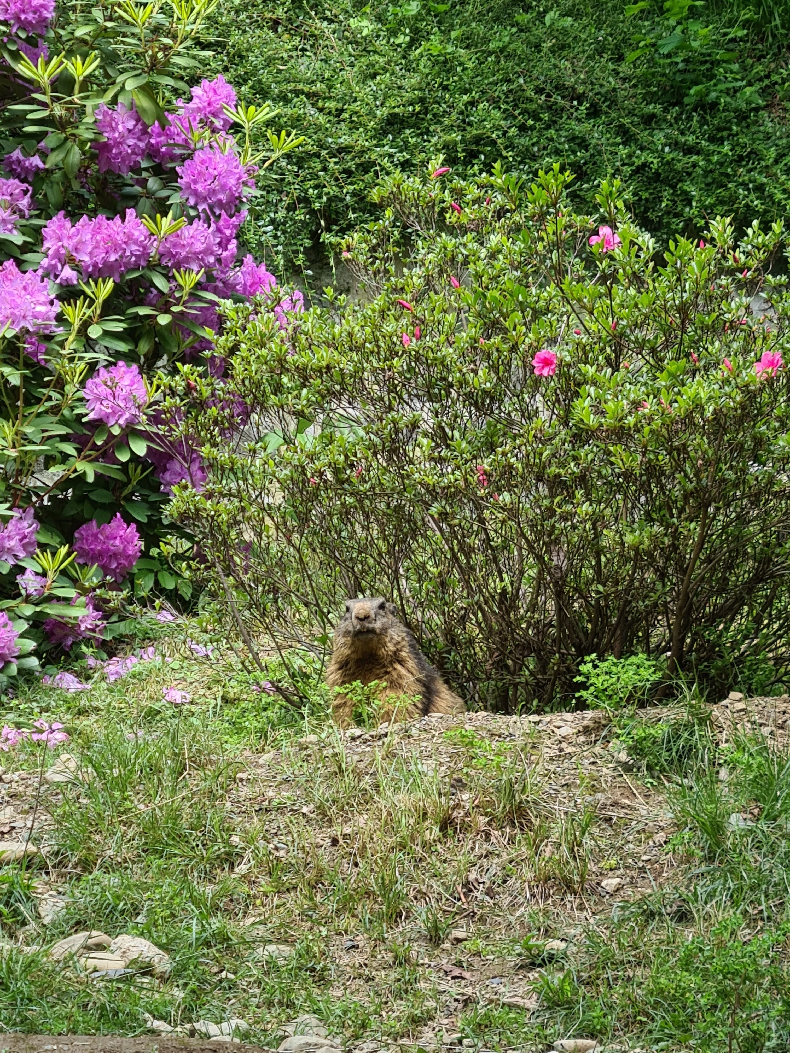 Photo n° 9 de l'avis de Antoine.u fait le 02/08/2023 à 07:13