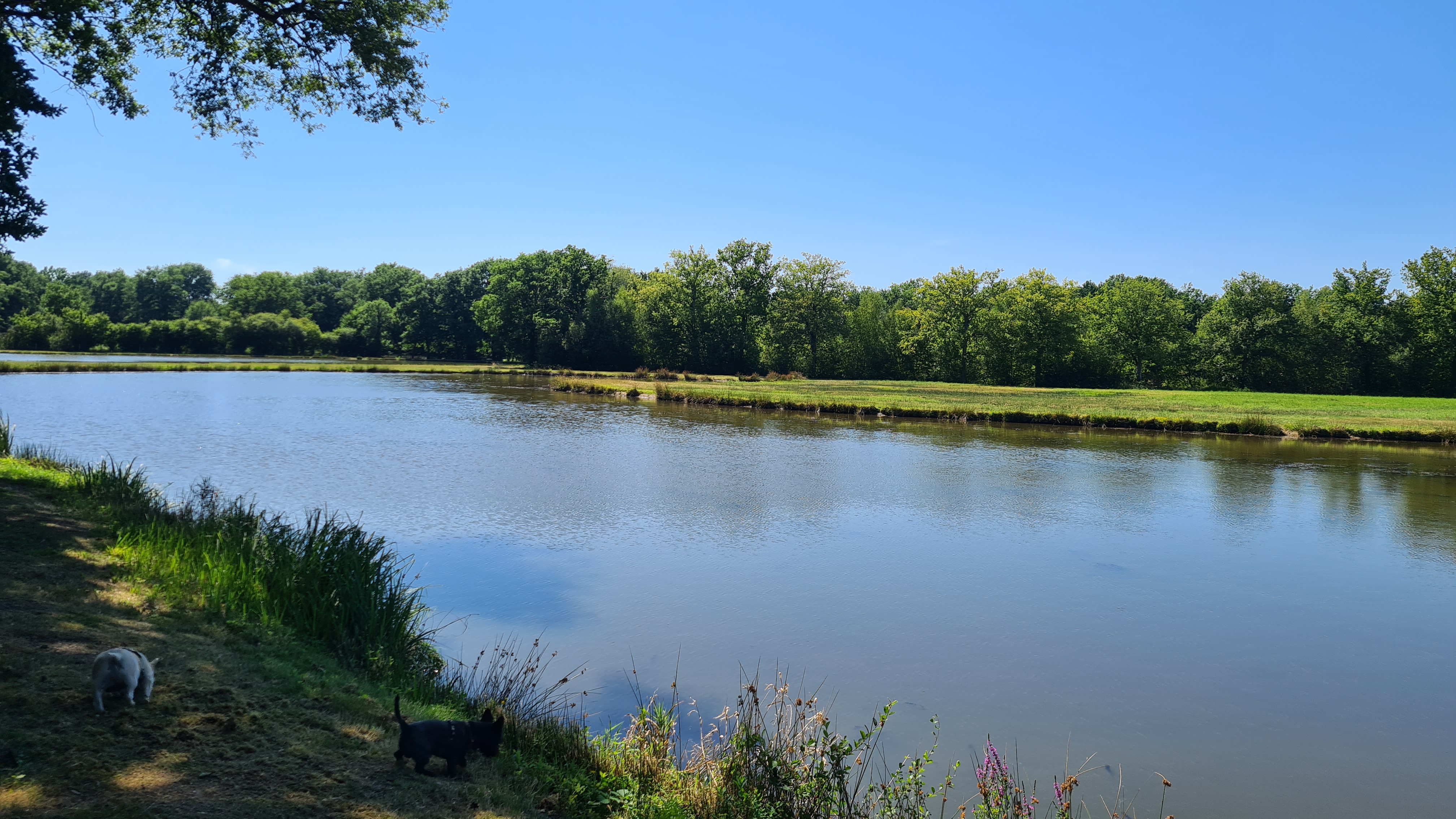 Photo n° 4 de l'avis de laurent.a fait le 17/07/2022 à 19:09