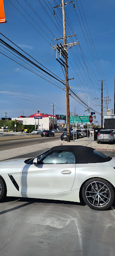 Explore fox and the hound tattoo ideas, creative tattoo ideas in Venice, available at Ink Monkey Tattoo and Piercing